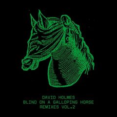 David Holmes – Blind On A Galloping Horse Remixes Vol. 2 (2024)